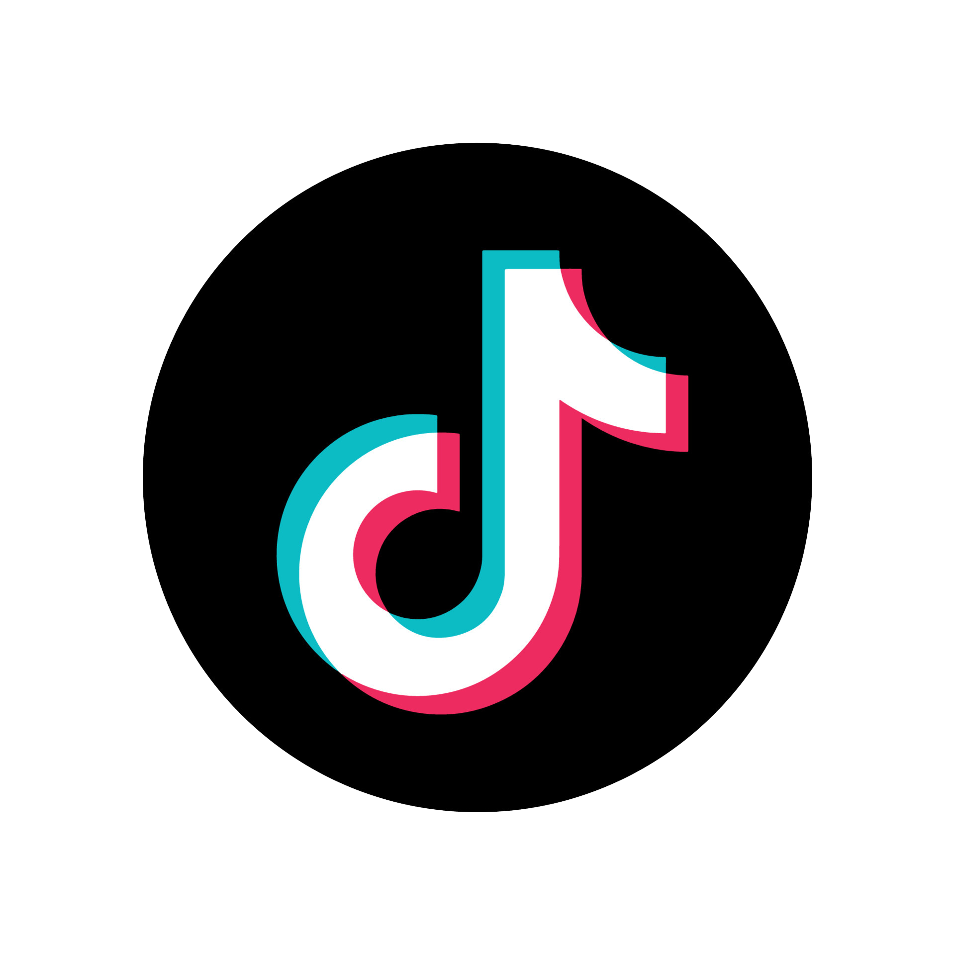 tiktok icon for promotion